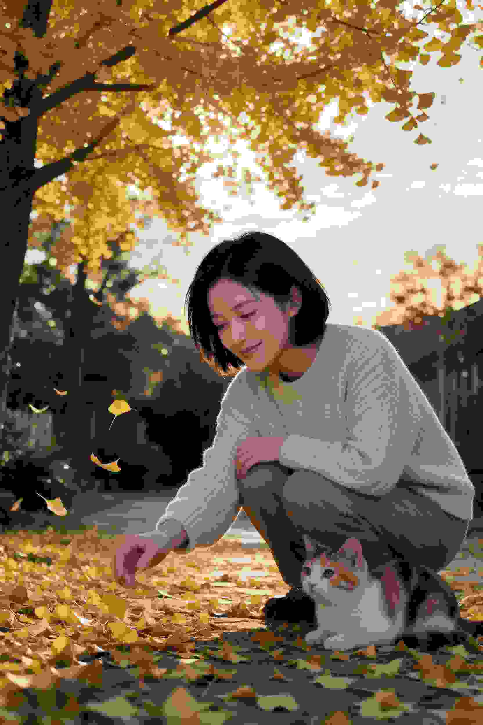 电影6